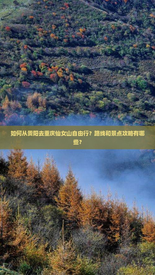 贵阳去重庆仙女山自由行 贵阳去重庆仙女山自由行
