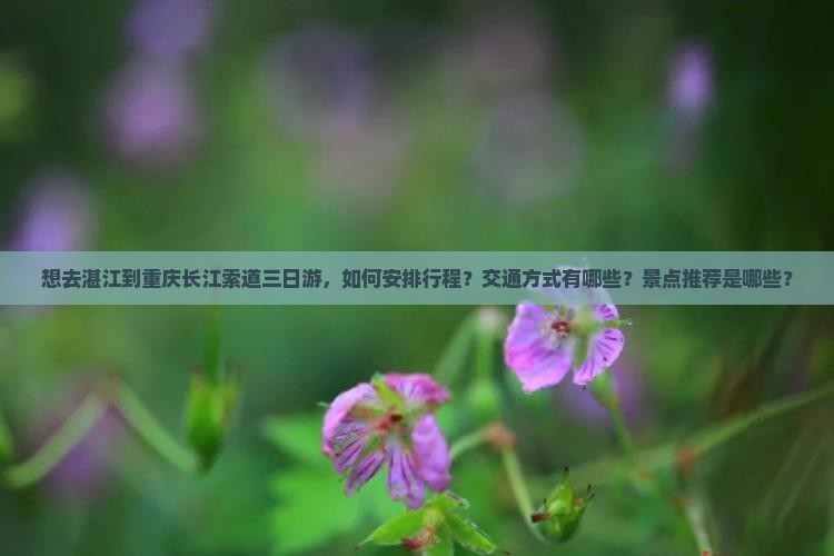 湛江去重庆长江索道三日游