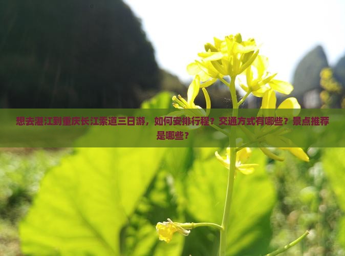 湛江去重庆长江索道三日游