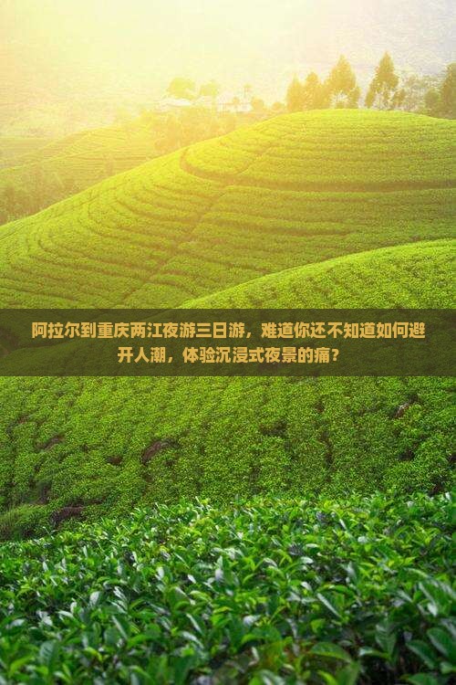 阿拉尔到重庆两江夜游三日游