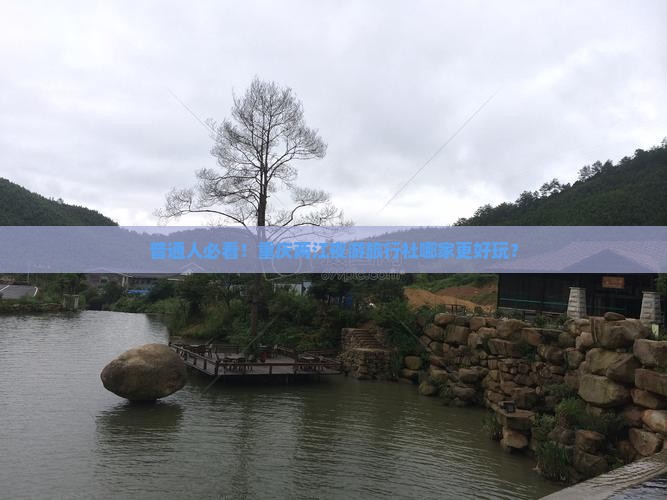 重庆去重庆两江夜游旅行社
