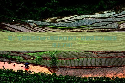 宁波去重庆wfc观景台自由行