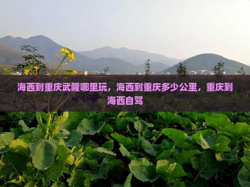 海西到重庆武隆哪里玩