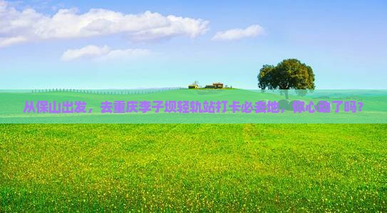 保山到重庆李子坝轻轨站必去地
