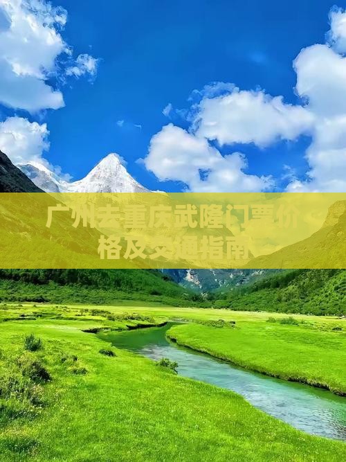 广州去重庆武隆门票