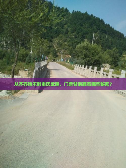 齐齐哈尔去重庆武隆门票