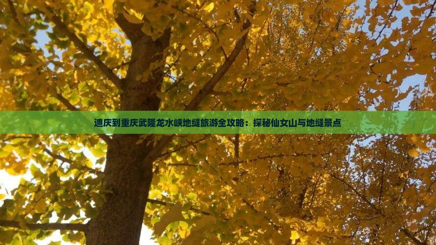 迪庆到重庆龙水峡地缝旅游