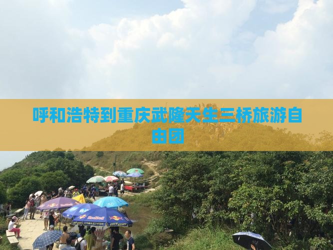 呼和浩特到重庆武隆天生三桥自由团