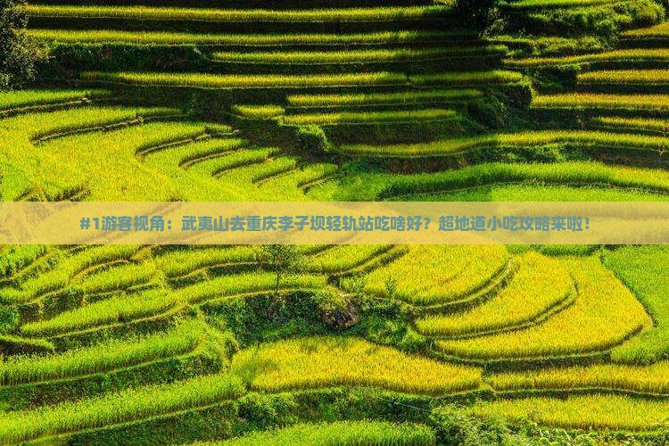 武夷山到重庆李子坝轻轨站旅游小吃