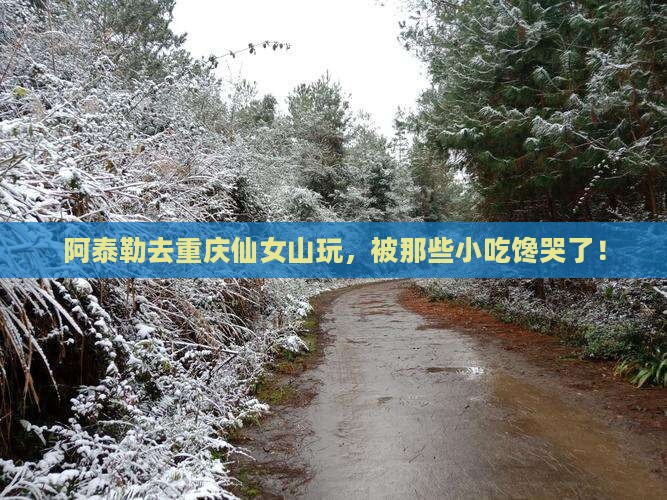 阿泰勒去重庆仙女山旅游小吃