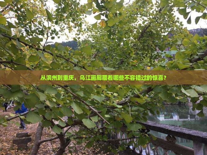 滨州到重庆乌江画廊必去地