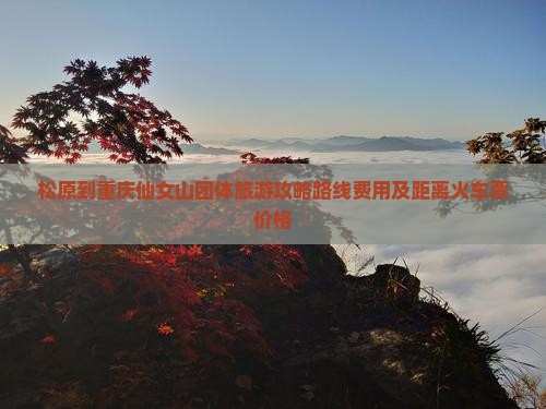 松原到重庆仙女山团体旅游