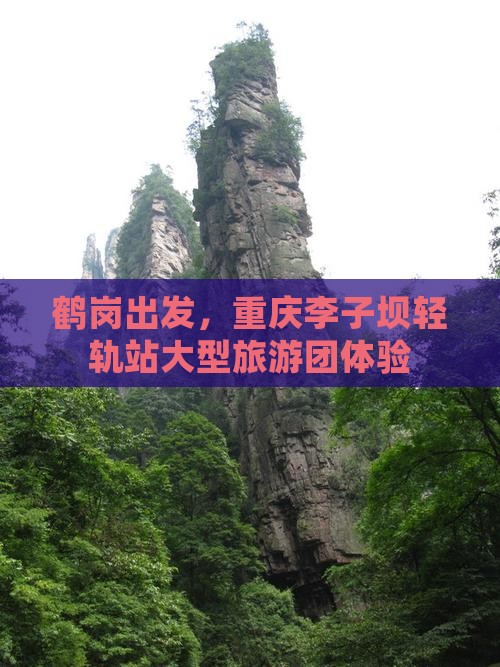 鹤岗到重庆李子坝轻轨站大型旅游团