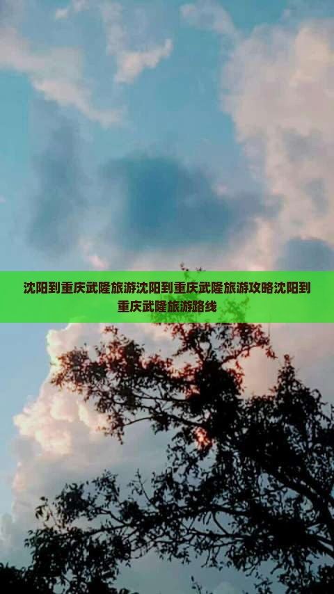 沈阳到重庆武隆旅游
