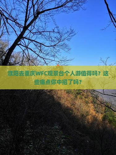 濮阳去重庆wfc观景台个人游