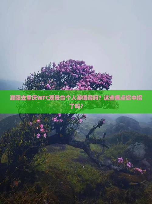 濮阳去重庆wfc观景台个人游