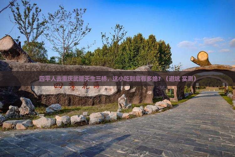四平去重庆武隆天生三桥旅游小吃