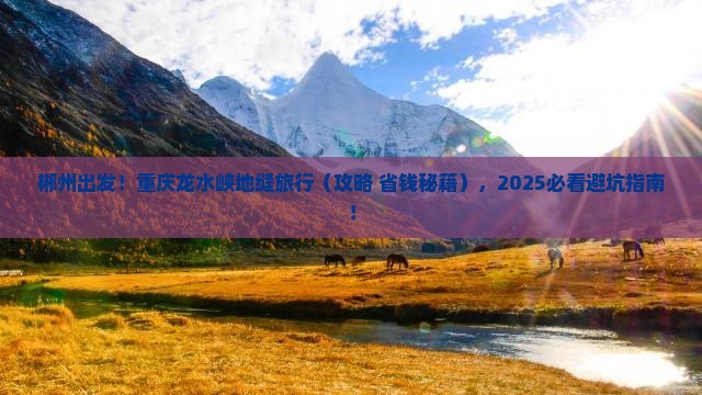 郴州去重庆龙水峡地缝旅行社
