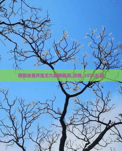 朝阳去重庆蚩尤九黎城旅游