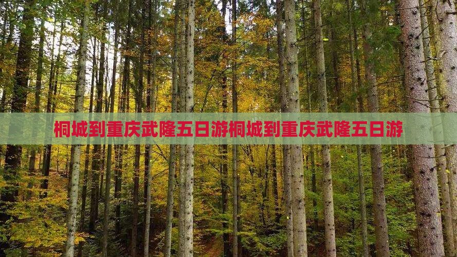 桐城到重庆武隆五日游