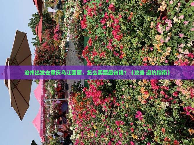 沧州到重庆乌江画廊门票