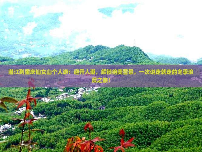 湛江到重庆仙女山个人游