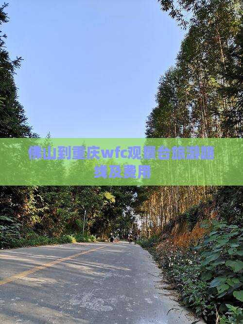 佛山到重庆wfc观景台旅游
