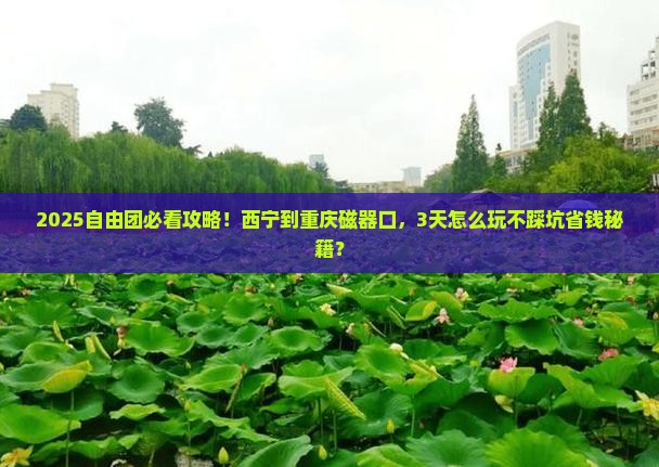 西宁到重庆磁器口自由团