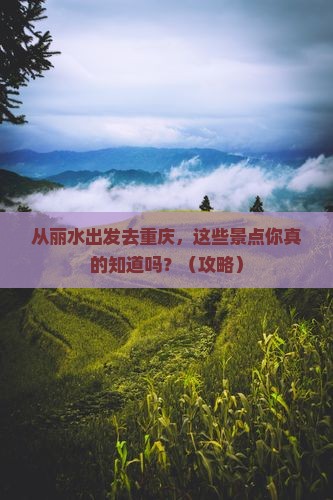 丽水去重庆景点
