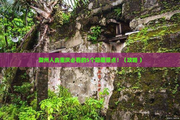 滁州去重庆必去地