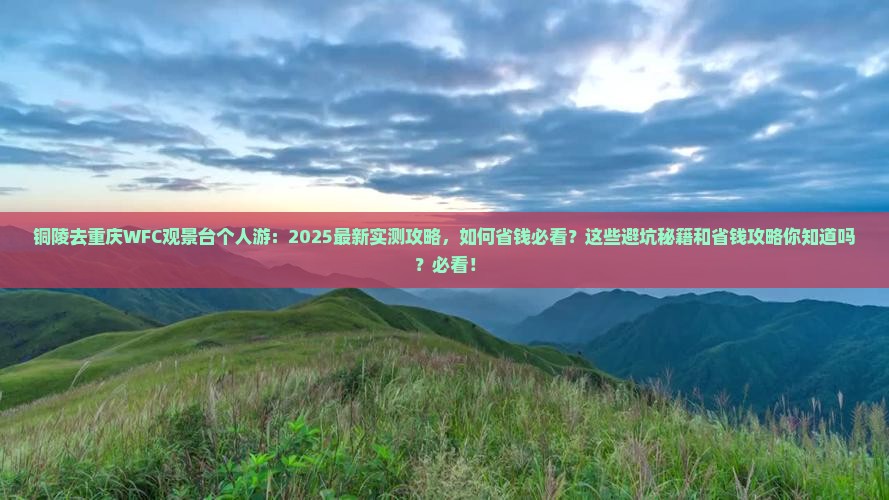 铜陵去重庆wfc观景台个人游