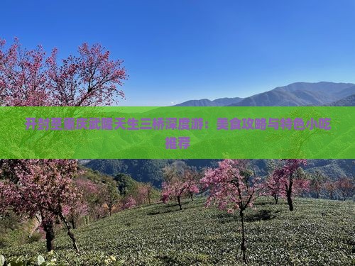 开封至重庆武隆天生三桥深度游：美食攻略与特色小吃推荐