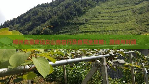 郴州去重庆仙女山自由行及自驾全攻略：路线与时间