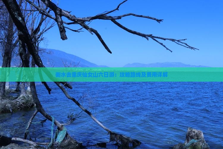 衡水去重庆仙女山六日游：攻略路线及费用详解