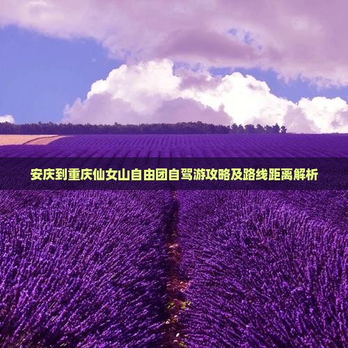 安庆到重庆仙女山自由团自驾游攻略及路线距离解析