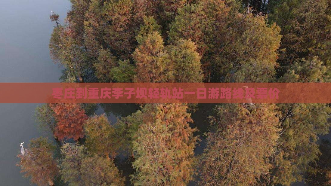 枣庄到重庆李子坝轻轨站一日游路线及票价