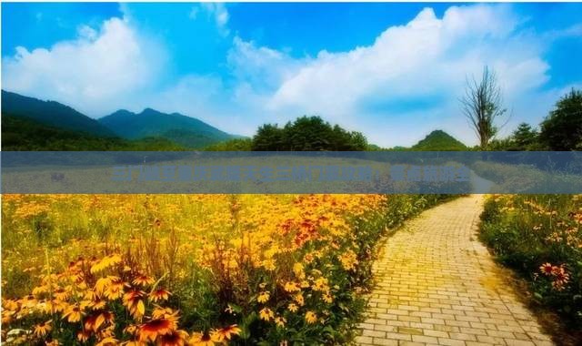 三门峡至重庆武隆天生三桥门票攻略：景点旅游全