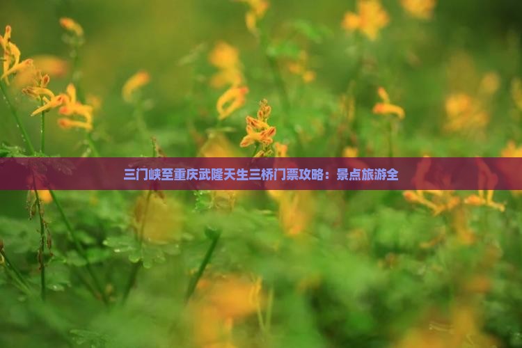 三门峡至重庆武隆天生三桥门票攻略：景点旅游全