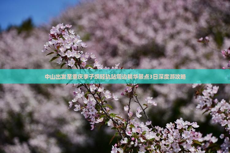 中山出发至重庆李子坝轻轨站周边精华景点3日深度游攻略