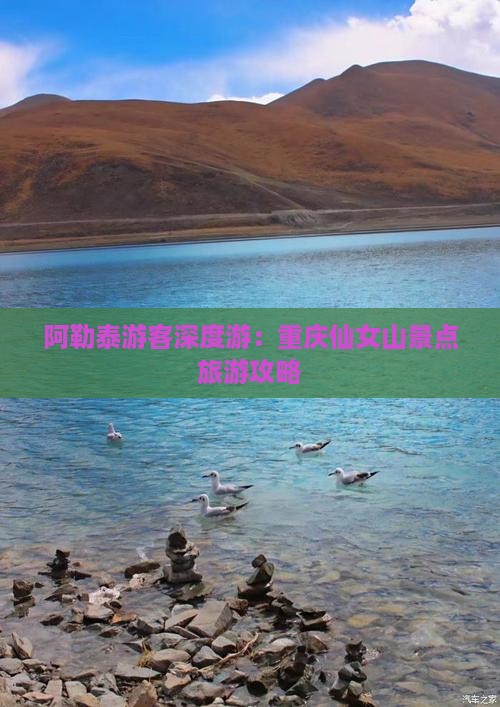 阿勒泰游客深度游：重庆仙女山景点旅游攻略
