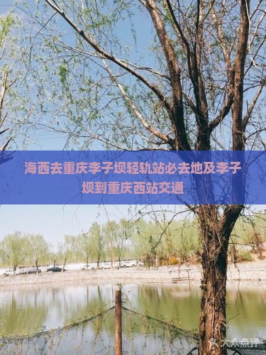 海西去重庆李子坝轻轨站必去地及李子坝到重庆西站交通