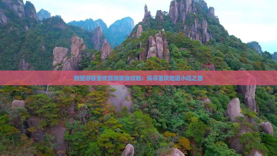 鹤壁游客重庆旅游美食攻略：探寻重庆地道小吃之旅