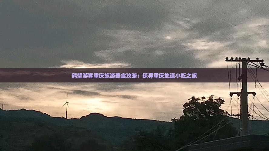鹤壁游客重庆旅游美食攻略：探寻重庆地道小吃之旅