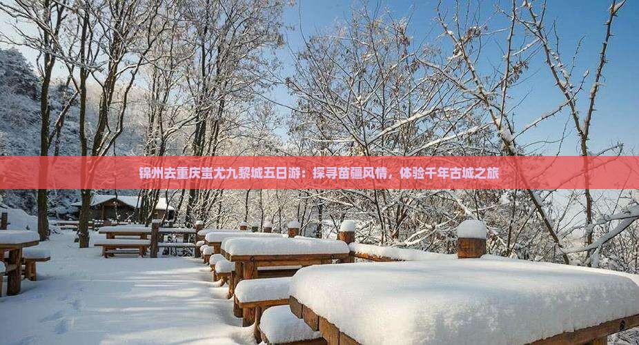 锦州去重庆蚩尤九黎城五日游：探寻苗疆风情，体验千年古城之旅