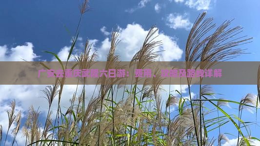 广安去重庆武隆六日游：费用、攻略及路线详解