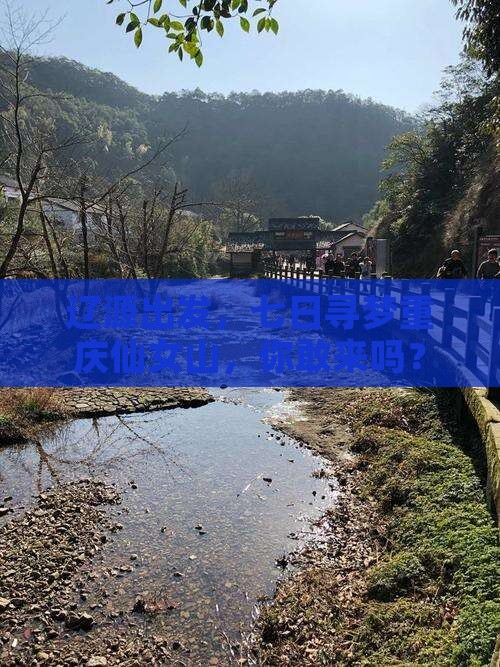 辽源到重庆仙女山七日游