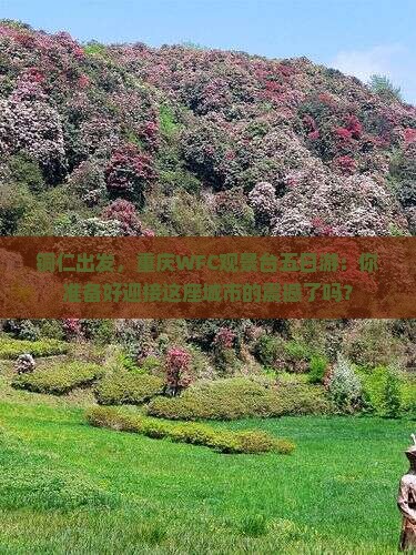 铜仁去重庆wfc观景台五日游 铜仁去重庆wfc观景台五日游