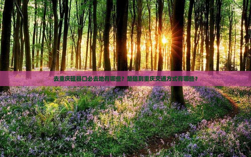 楚雄去重庆磁器口必去地