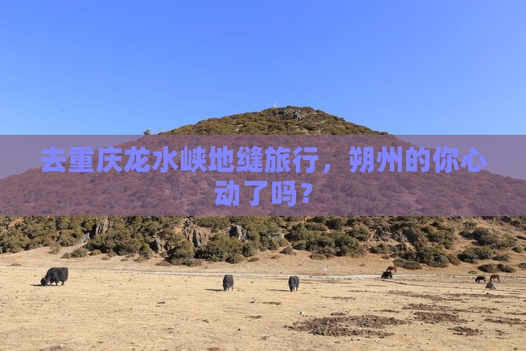 朔州去重庆龙水峡地缝旅游