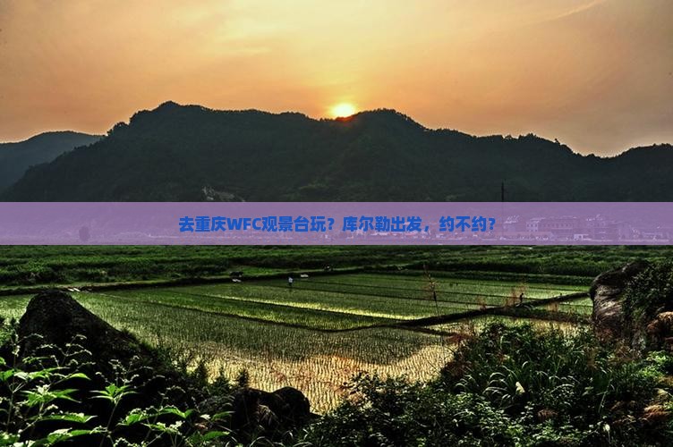 库尔勒去重庆wfc观景台旅行社